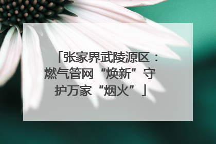 张家界武陵源区：燃气管网“焕新”守护万家“烟火”