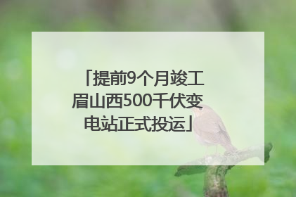 提前9个月竣工 眉山西500千伏变电站正式投运