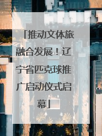 推动文体旅融合发展！辽宁省匹克球推广启动仪式启幕