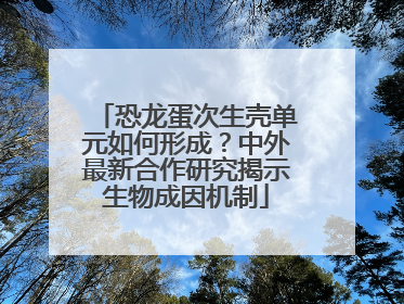 恐龙蛋次生壳单元如何形成？中外最新合作研究揭示生物成因机制