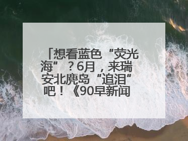 想看蓝色“荧光海”？6月，来瑞安北麂岛“追泪”吧！《90早新闻》来了