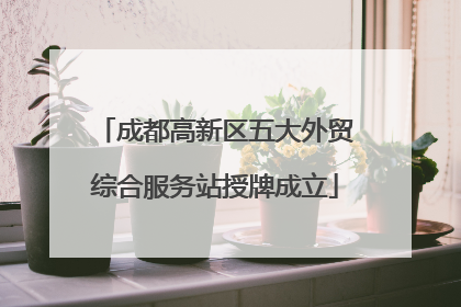 成都高新区五大外贸综合服务站授牌成立