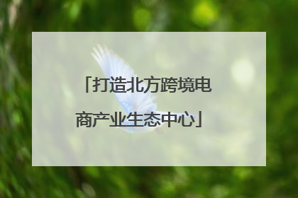 打造北方跨境电商产业生态中心