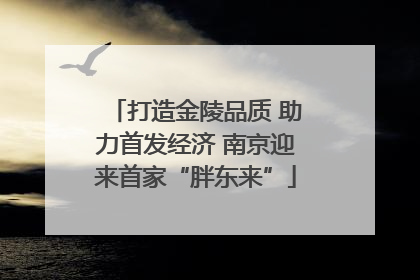 打造金陵品质 助力首发经济 南京迎来首家“胖东来”