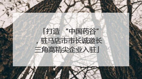 打造 “中国药谷”，驻马店市市长诚邀长三角高精尖企业入驻