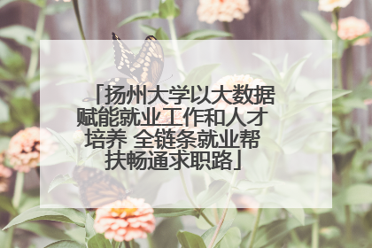 扬州大学以大数据赋能就业工作和人才培养 全链条就业帮扶畅通求职路