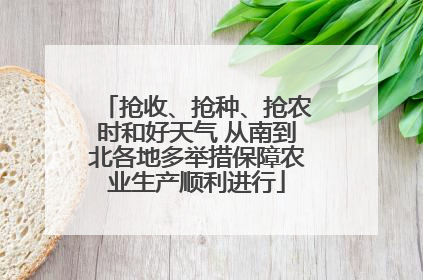 抢收、抢种、抢农时和好天气 从南到北各地多举措保障农业生产顺利进行