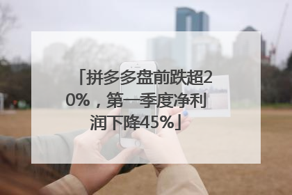 拼多多盘前跌超20%，第一季度净利润下降45%