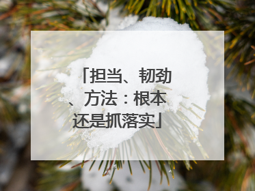 担当、韧劲、方法：根本还是抓落实