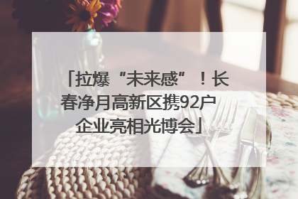 拉爆“未来感”！长春净月高新区携92户企业亮相光博会