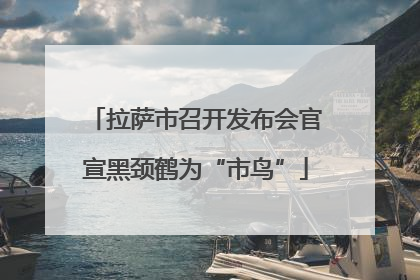 拉萨市召开发布会官宣黑颈鹤为“市鸟”