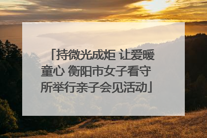 持微光成炬 让爱暖童心 衡阳市女子看守所举行亲子会见活动