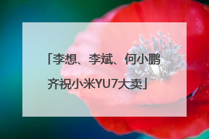 李想、李斌、何小鹏齐祝小米YU7大卖