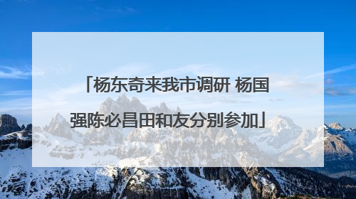 杨东奇来我市调研 杨国强陈必昌田和友分别参加