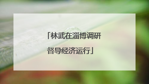 林武在淄博调研督导经济运行