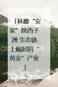 林麝“安家”陕西子洲 生态链上崛起的“黄金”产业