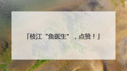 枝江“鱼医生”，点赞！