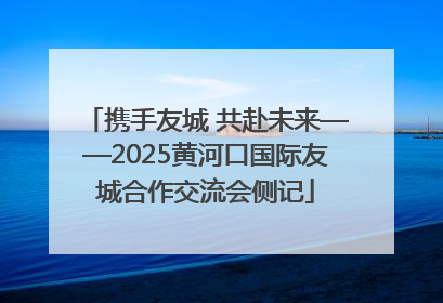 携手友城 共赴未来——2025黄河口国际友城合作交流会侧记