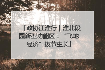 政协江淮行｜淮北段园新型功能区：“飞地经济”拔节生长