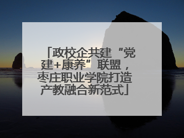 政校企共建“党建+康养”联盟，枣庄职业学院打造产教融合新范式