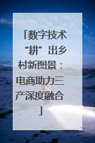 数字技术“耕”出乡村新图景：电商助力三产深度融合