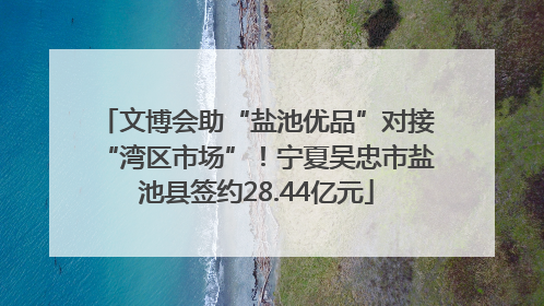 文博会助“盐池优品”对接“湾区市场”！宁夏吴忠市盐池县签约28.44亿元