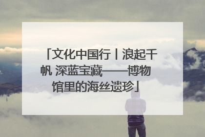 文化中国行丨浪起千帆 深蓝宝藏——博物馆里的海丝遗珍