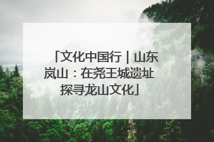 文化中国行｜山东岚山：在尧王城遗址探寻龙山文化