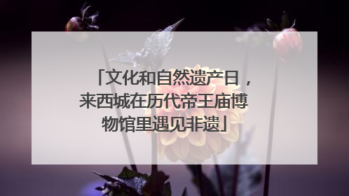 文化和自然遗产日，来西城在历代帝王庙博物馆里遇见非遗
