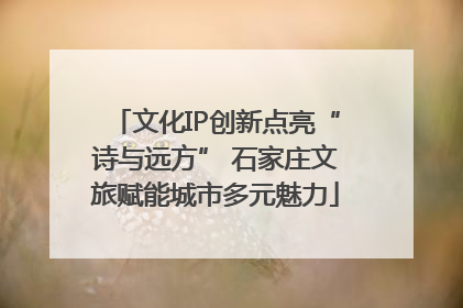 文化IP创新点亮“诗与远方” 石家庄文旅赋能城市多元魅力