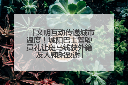 文明互动传递城市温度！城阳巴士驾驶员礼让斑马线获外籍友人鞠躬致谢