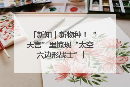 新知｜新物种！“天宫”里惊现“太空六边形战士”