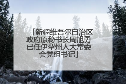 新疆维吾尔自治区政府原秘书长周旭勇已任伊犁州人大常委会党组书记