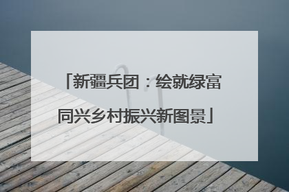 新疆兵团：绘就绿富同兴乡村振兴新图景