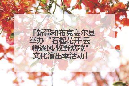 新疆和布克赛尔县举办“石榴花开·云骥逐风·牧野欢歌”文化演出季活动