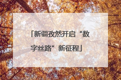 新疆孜然开启“数字丝路”新征程