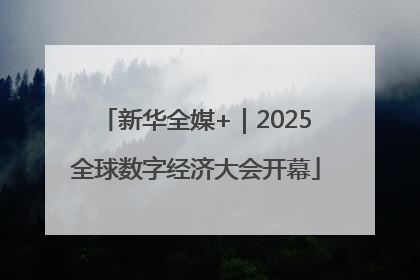 新华全媒+｜2025全球数字经济大会开幕