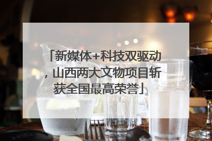 新媒体+科技双驱动，山西两大文物项目斩获全国最高荣誉