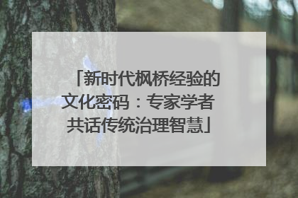 新时代枫桥经验的文化密码：专家学者共话传统治理智慧