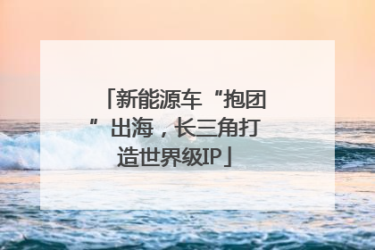 新能源车“抱团”出海，长三角打造世界级IP