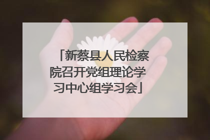 新蔡县人民检察院召开党组理论学习中心组学习会