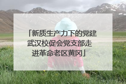 新质生产力下的党建 武汉校促会党支部走进革命老区黄冈