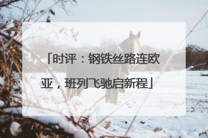 时评：钢铁丝路连欧亚，班列飞驰启新程
