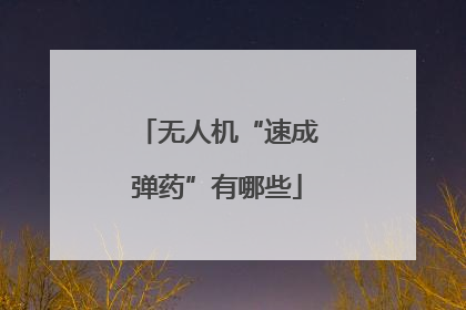 无人机“速成弹药”有哪些