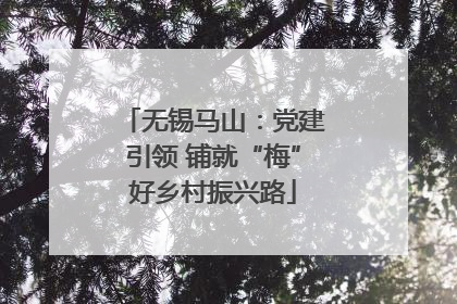 无锡马山：党建引领 铺就“梅”好乡村振兴路