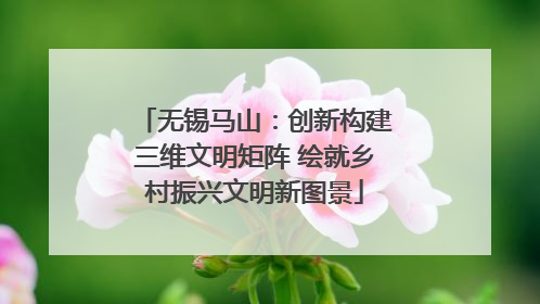 无锡马山：创新构建三维文明矩阵 绘就乡村振兴文明新图景