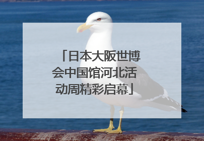 日本大阪世博会中国馆河北活动周精彩启幕