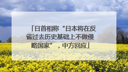 日首相称“日本将在反省过去历史基础上不做侵略国家”，中方回应
