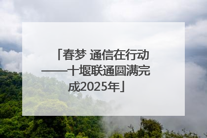 春梦 通信在行动——十堰联通圆满完成2025年