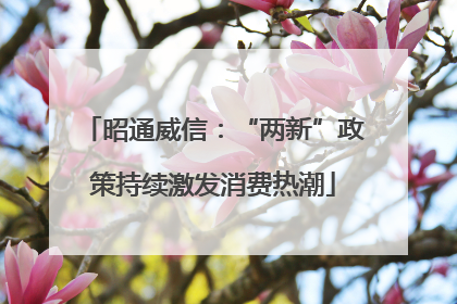 昭通威信:“两新”政策持续激发消费热潮